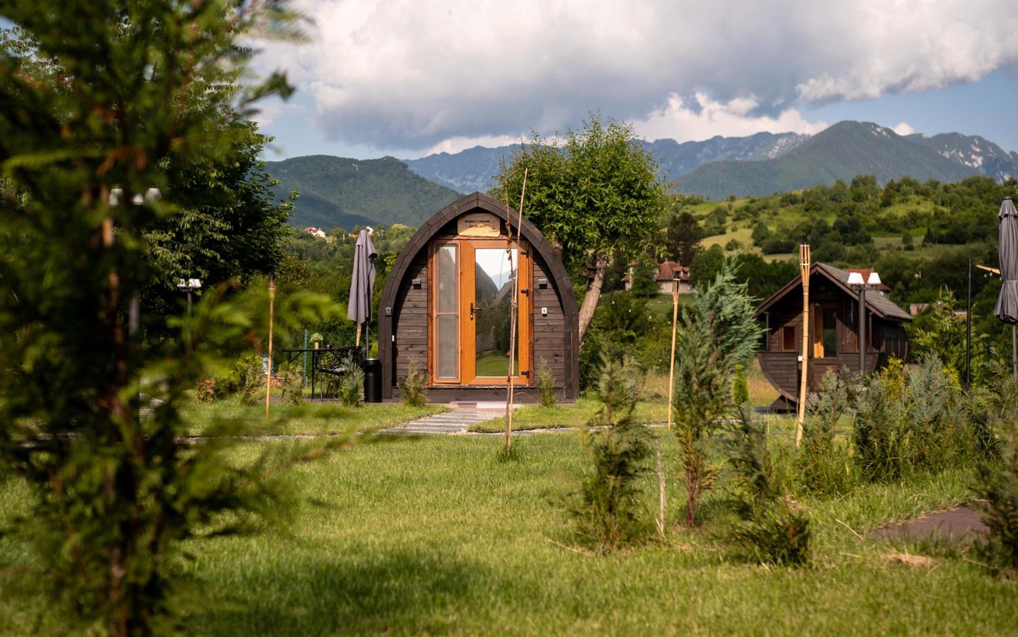 Glamp In Style Pods Resort Bran  Bagian luar foto